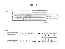 Fig. 11 - Biomolecule information analysis device