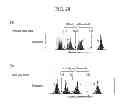 Fig. 22 - Biomolecule information analysis device