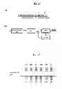 Fig. 24 - Biomolecule information analysis device