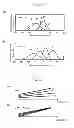 Fig. 31 - Biomolecule information analysis device