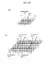 Fig. 34 - Biomolecule information analysis device
