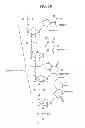 Fig. 40 - Biomolecule information analysis device
