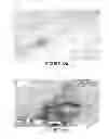 Fig. 09 - Method of obtaining circulating cancer cell populations
