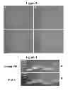 Fig. 04 - Compositions and Methods Useful for Culturing Differentiable Cells