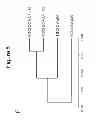 Fig. 12 - Compositions and Methods Useful for Culturing Differentiable Cells