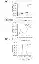Fig. 33 - Method for manufacturing semiconductor device