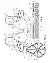 Fig. 02 - Bra