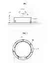 Fig. 02 - Pad Conditioning and Wafer Retaining Ring and Manufacturing Method Thereof