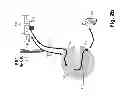 Fig. 04 - Moving cellular communication system operative in an emergency mode