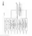 Fig. 09 - Very far-field communication