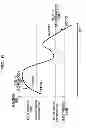 Fig. 07 - WIRELESS TERMINAL APPARATUS, SWITCHING METHOD AND MACHINE READABLE MEDIUM