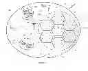 Fig. 06 - Method and system for wireless communication