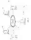 Fig. 02 - Systems and methods for regulated hybrid gaming