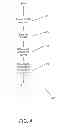 Fig. 05 - Systems and methods for regulated hybrid gaming