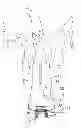 Fig. 01 - LUMINOUS INFLATABLE FIGURE
