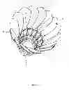 Fig. 03 - ARTIFICIAL FEATHER FOR SHUTTLECOCK, SHUTTLECOCK, AND METHOD OF MANUFACTURING ARTIFICIAL FEATHER FOR SHUTTLECOCK
