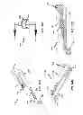 Fig. 16 - Gear transmission and derailleur system