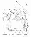 Fig. 02 - Training apparatus including a mannequin