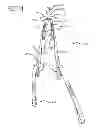 Fig. 16 - Full body exercise band system