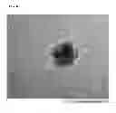 Fig. 07 - Method for producing microparticles having controlled crystallite diameter