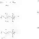Fig. 16 - SUPERABSORBENT POLYMER HAVING A CAPACITY INCREASE