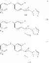 Fig. 32 - Fungicidal substituted 2-[2-halogenalkyl-4-(phenoxy)-phenyl]-1-[1,2,4]triazol-1-yl-ethanol compounds