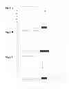 Fig. 32 - METHODS OF DETERMINING STABILIZATION COMPOUNDS FOR PREDICTIVE BIOMARKERS