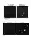 Fig. 03 - System for identification of microorganism and detection of infectious disease
