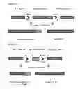 Fig. 04 - Cell line screening method