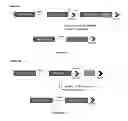 Fig. 07 - Cell line screening method