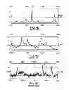 Fig. 09 - IDENTIFICATION OF BIOMARKERS FOR DETECTING PROSTATE CANCER