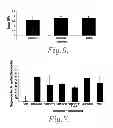 Fig. 04 - Method of preventing or reducing scarring of human skin