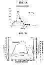 Fig. 02 - Process for the synchronization of ovulation for timed breeding without heat detection