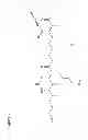 Fig. 08 - Alpha- and gamma-MSH analogues