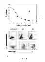 Fig. 05 - High affinity bivalent helically constrained peptide against cancer