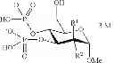 Fig. 19 - POLYPHOSPHATE AND PYROPHOSPHATE DERIVATIVE OF SACCHARIDES