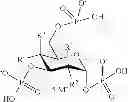 Fig. 28 - POLYPHOSPHATE AND PYROPHOSPHATE DERIVATIVE OF SACCHARIDES