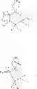 Fig. 35 - POLYPHOSPHATE AND PYROPHOSPHATE DERIVATIVE OF SACCHARIDES