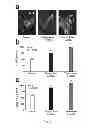 Fig. 02 - Elastin protective polyphenolics and methods of using the same
