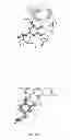 Fig. 02 - Hydroxytyrosol and oleuropein compositions for induction of DNA damage, cell death and LSD1 inhibition
