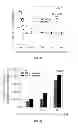 Fig. 06 - Hydroxytyrosol and oleuropein compositions for induction of DNA damage, cell death and LSD1 inhibition