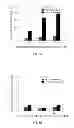 Fig. 08 - Hydroxytyrosol and oleuropein compositions for induction of DNA damage, cell death and LSD1 inhibition