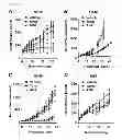 Fig. 06 - COMBINATION THERAPY METHODS FOR TREATING PROLIFERATIVE DISEASES