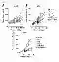 Fig. 07 - COMBINATION THERAPY METHODS FOR TREATING PROLIFERATIVE DISEASES