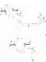 Fig. 02 - Biotinylated compounds