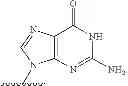 Fig. 07 - Biotinylated compounds