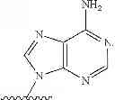 Fig. 08 - Biotinylated compounds