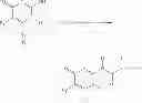 Fig. 100 - Cosmetic treatment processes and kit
