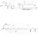 Fig. 156 - Cosmetic treatment processes and kit