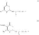 Fig. 191 - Cosmetic treatment processes and kit